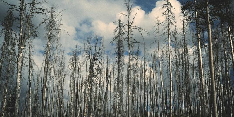 企业服务升级之道：跨部门资源整合与商业合作的项目管理技巧