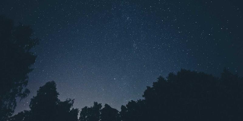 企业服务赋能乡村振兴：土地、产业与人才的三维联动实践