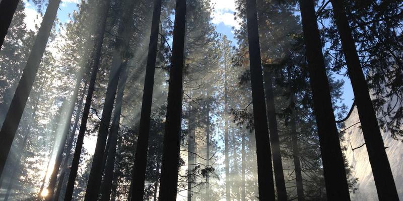 初创企业资源整合之道：如何以有限资源撬动企业服务与商业合作实现跃迁