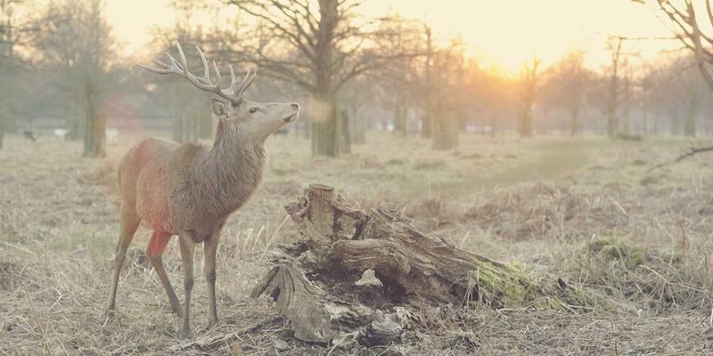 制造业服务化转型：如何通过企业服务与资源优化创造新利润增长点