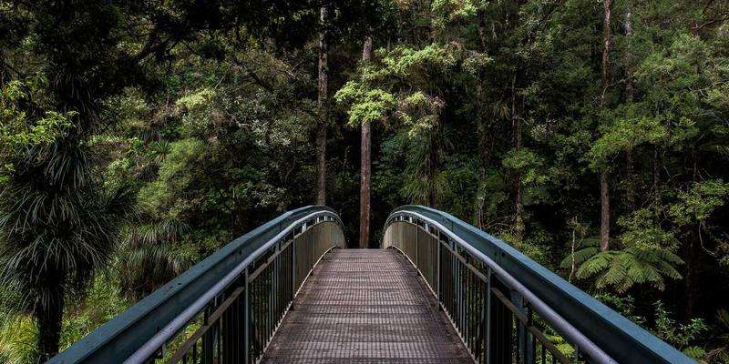 商业合作与资源优化：构建弹性与效率并重的现代物流网络
