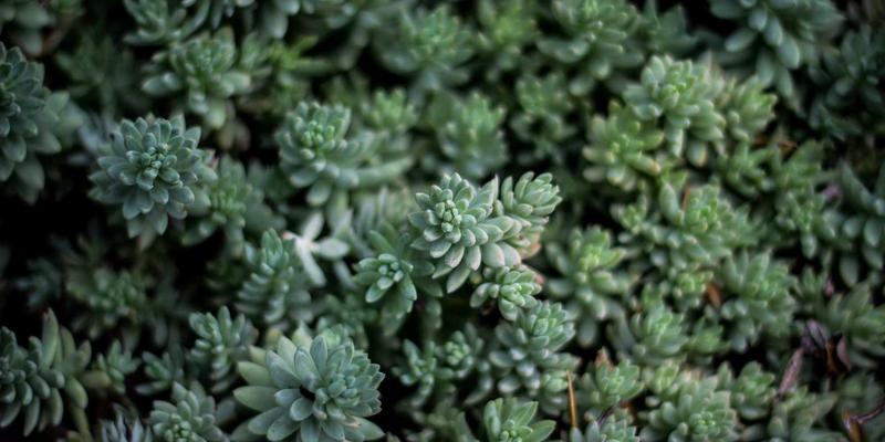 商业合作新引擎：CRM系统与私域流量池的联动运营策略，驱动企业服务与资源优化