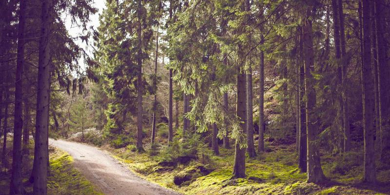 数字化转型中的资源整合：打通数据孤岛，构建一体化智能平台