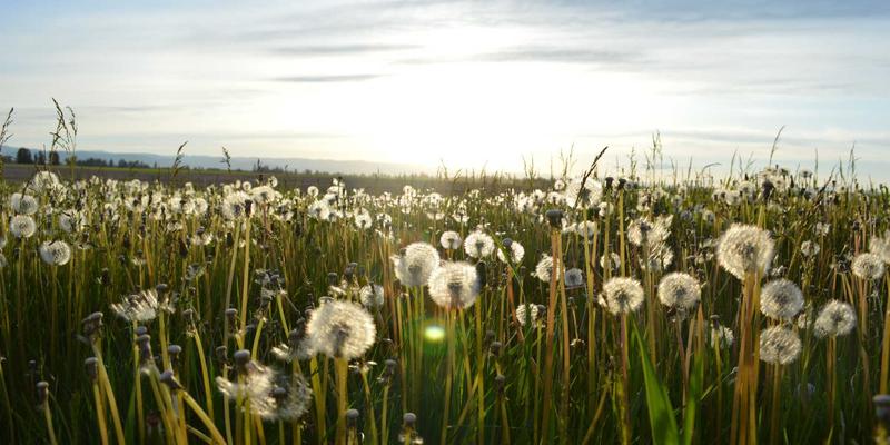 资源优化与整合之道：揭秘企业如何通过高效资源整合打造不可复制的核心竞争力