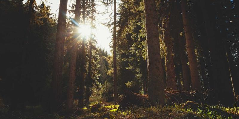 资源优化新路径：开放式创新中产学研合作网络的高效整合与管理