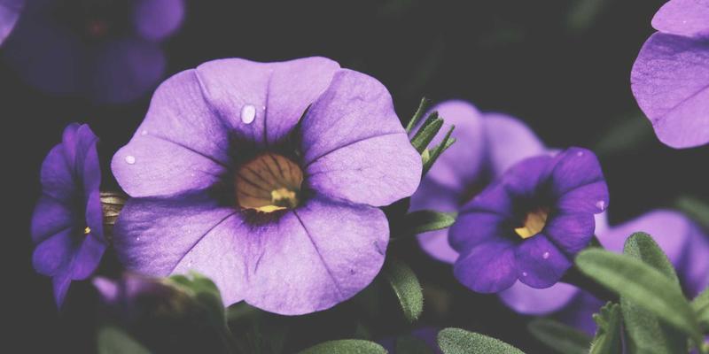 资源优化新路径：跨行业资源整合如何通过异业联盟释放创新价值