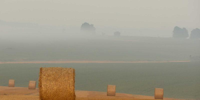 资源优化驱动产业升级：产学研协同创新如何重塑高效技术转化生态系统