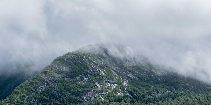 资源整合100：企业服务升级与资源优化的战略路径