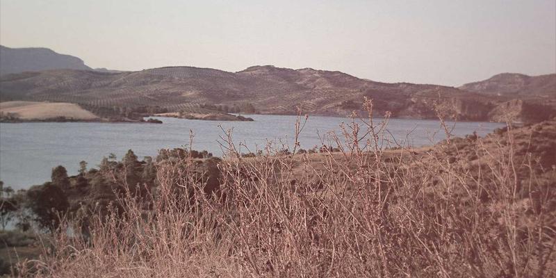 资源整合新范式：构建项目制人才池，实现人力资源弹性配置与优化